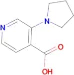 3-(Pyrrolidin-1-yl)isonicotinic acid