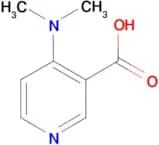 4-(Dimethylamino)nicotinic acid