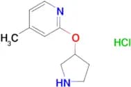 4-Methyl-2-(pyrrolidin-3-yloxy)pyridinehydrochloride