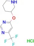 4-(Piperidin-3-yloxy)-6-(trifluoromethyl)pyrimidine hydrochloride