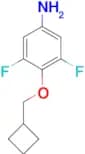 4-(Cyclobutylmethoxy)-3,5-difluoroaniline
