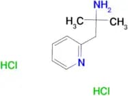 2-Methyl-1-(pyridin-2-yl)propan-2-aminedihydrochloride
