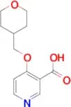4-(Oxan-4-ylmethoxy)pyridine-3-carboxylic acid