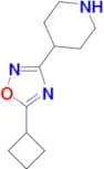 4-(5-Cyclobutyl-1,2,4-oxadiazol-3-yl)piperidine