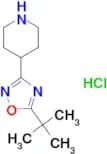 4-(5-tert-Butyl-1,2,4-oxadiazol-3-yl)piperidine hydrochloride