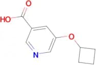 5-Cyclobutoxypyridine-3-carboxylic acid