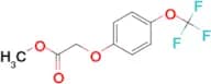 Methyl 2-[4-(trifluoromethoxy)phenoxy]acetate