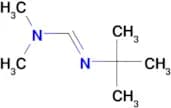 N’-tert-Butyl-N,N-dimethylformamidine