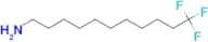 11,11,11-Trifluoro-undecylamine