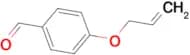 4-Allyloxybenzaldehyde