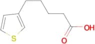 5-(3-Thienyl)pentanoic acid