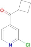 2-Chloro-4-pyridylcyclobutyl ketone
