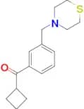 cyclobutyl 3-(thiomorpholinomethyl)phenyl ketone