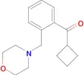 Cyclobutyl 2-(morpholinomethyl)phenyl ketone