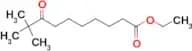 Ethyl 9,9-dimethyl-8-oxodecanoate