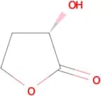 (S)-3-Hydroxydihydrofuran-2(3H)-one