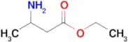 Ethyl 3-aminobutanoate
