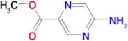 Methyl 5-aminopyrazine-2-carboxylate