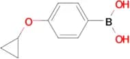 (4-Cyclopropoxyphenyl)boronic acid