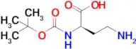 Boc-D-2,4-Diaminobutyric acid