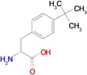 (R)-2-Amino-3-(4-(tert-butyl)phenyl)propanoic acid