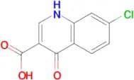 7-Chloro-4-hydroxyquinoline-3-carboxylic acid
