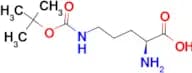 H-Orn(Boc)-OH