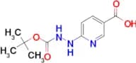 6-Boc-Hydrazynonicotinic acid