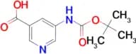 5-((tert-Butoxycarbonyl)amino)nicotinic acid
