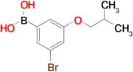 (3-Bromo-5-isobutoxyphenyl)boronic acid