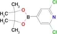 2,6-Dichloro-4-(4,4,5,5-tetramethyl-1,3,2-dioxaborolan-2-yl)pyridine