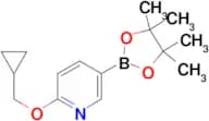 2-(Cyclopropylmethoxy)-5-(4,4,5,5-tetramethyl-1,3,2-dioxaborolan-2-yl)pyridine