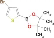 2-(4-Bromothiophen-2-yl)-4,4,5,5-tetramethyl-1,3,2-dioxaborolane