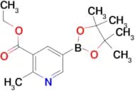 Ethyl 2-methyl-5-(4,4,5,5-tetramethyl-1,3,2-dioxaborolan-2-yl)nicotinate