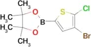 2-(4-Bromo-5-chlorothiophen-2-yl)-4,4,5,5-tetramethyl-1,3,2-dioxaborolane