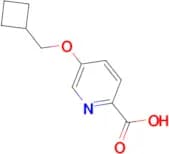 5-(Cyclobutylmethoxy)pyridine-2-carboxylic acid