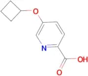5-Cyclobutoxypyridine-2-carboxylic acid