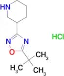 3-(5-tert-Butyl-1,2,4-oxadiazol-3-yl)piperidine hydrochloride