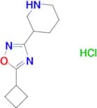 3-(5-Cyclobutyl-1,2,4-oxadiazol-3-yl)piperidine hydrochloride