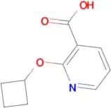2-Cyclobutoxypyridine-3-carboxylic acid