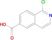 1-Chloroisoquinoline-6-carboxylic acid
