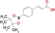 (E)-3-(4-(4,4,5,5-Tetramethyl-1,3,2-dioxaborolan-2-yl)phenyl)acrylic acid