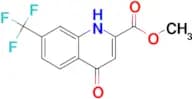 Methyl 4-hydroxy-7-(trifluoromethyl)quinoline-2-carboxylate