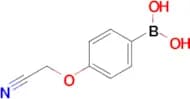 (4-(Cyanomethoxy)phenyl)boronic acid