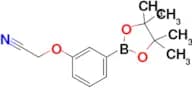 2-(3-(4,4,5,5-Tetramethyl-1,3,2-dioxaborolan-2-yl)phenoxy)acetonitrile