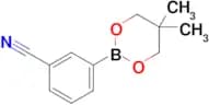3-(5,5-Dimethyl-1,3,2-dioxaborinan-2-yl)benzonitrile
