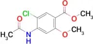 Methyl 4-acetamido-5-chloro-2-methoxybenzoate