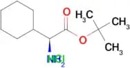 (S)-tert-Butyl 2-amino-2-cyclohexylacetate hydrochloride