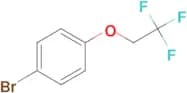 1-Bromo-4-(2,2,2-trifluoroethoxy)benzene