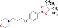 4-(3-(4-(4,4,5,5-Tetramethyl-1,3,2-dioxaborolan-2-yl)phenoxy)propyl)morpholine